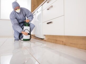 keep your home pest free in Nashville.